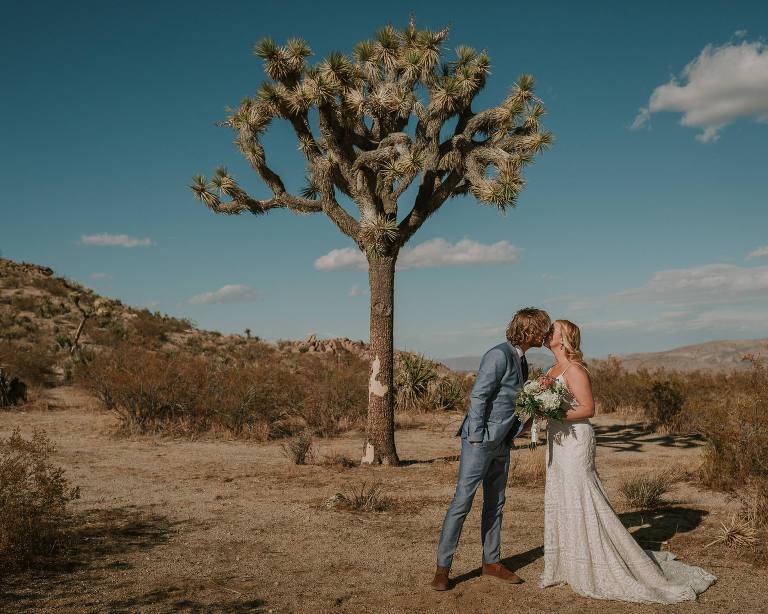 bride and groom kissing under a joshua tree